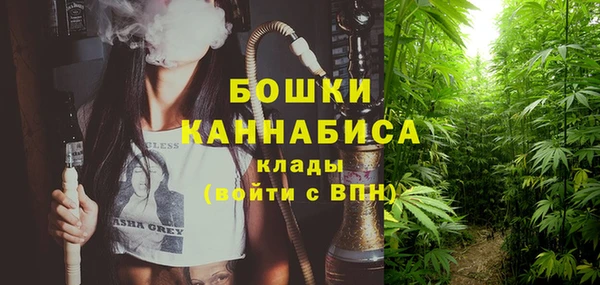 стаф Россошь